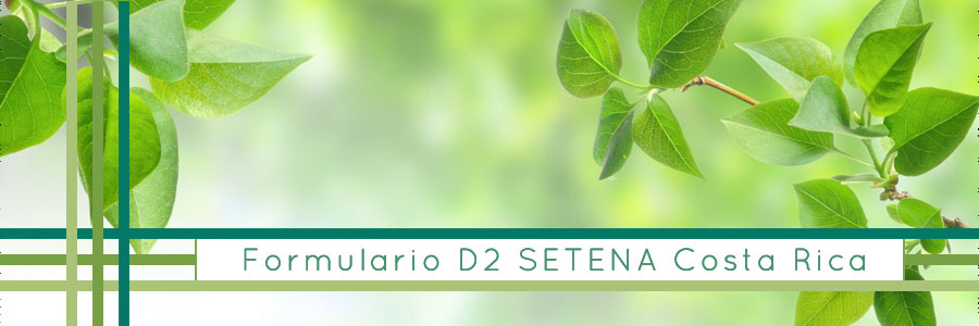 formulario d2 costa rica
