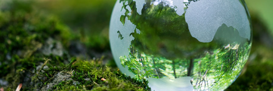 plan gestion ambiental