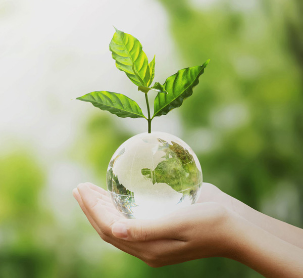 asesor ambiental Greener Group